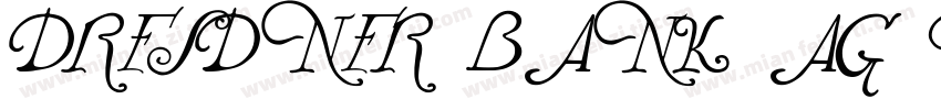 Dresdner Bank AG Tit字体转换